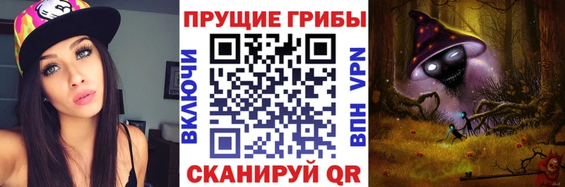 наркотики  дарк нет наркотические препараты  Галлюциногенные грибы GOLDEN TEACHER  Болгар 